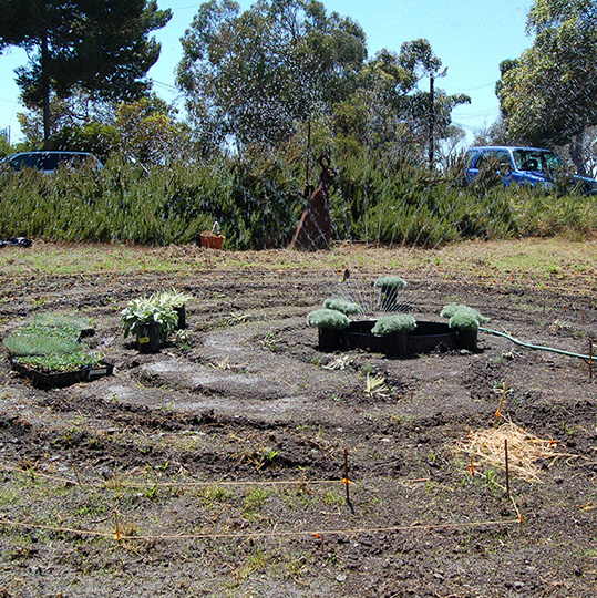 preparing to plant