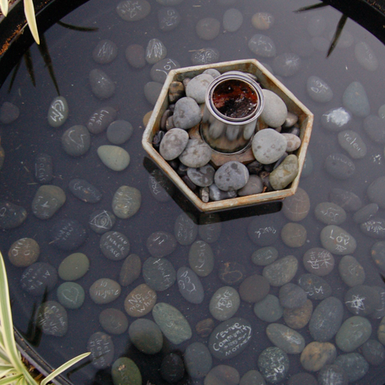 the center pond