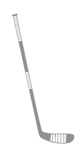 hockey stick vector